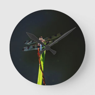 Blue and black  Dragonfly on green and red grass Round Clock