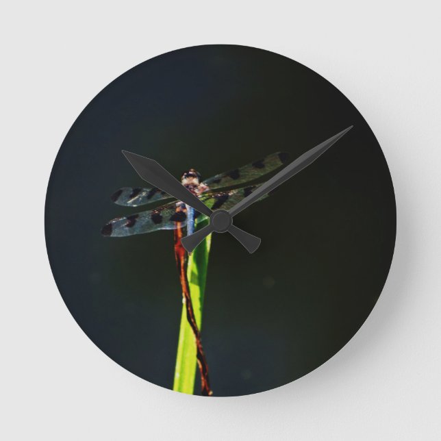 Blue and black  Dragonfly on green and red grass Round Clock (Front)