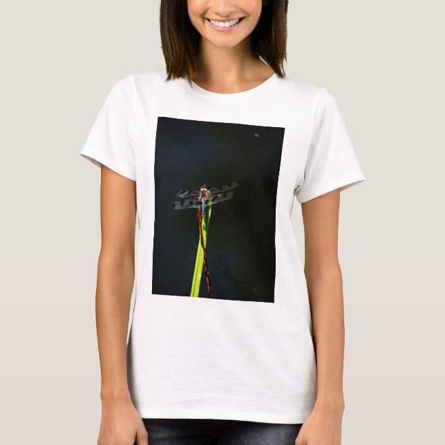 Blue and black  Dragonfly on green and red grass T-Shirt (Front)
