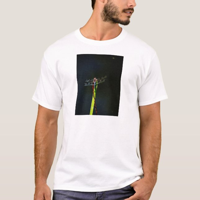 Blue and black  Dragonfly on green and red grass T-Shirt (Front)