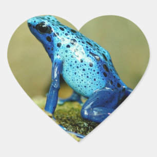 Blue and Black Poison Dart Frog Heart Sticker