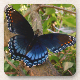 Blue and Black Swallowtail in Ohio Garden Coaster