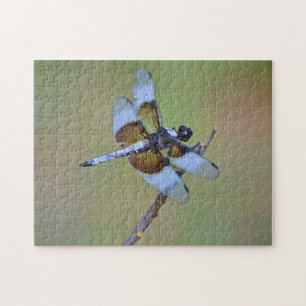 Blue and Brown Dragonfly Insect Nature Puzzle