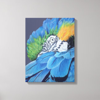 Blue and Gold Macaw Canvas Print