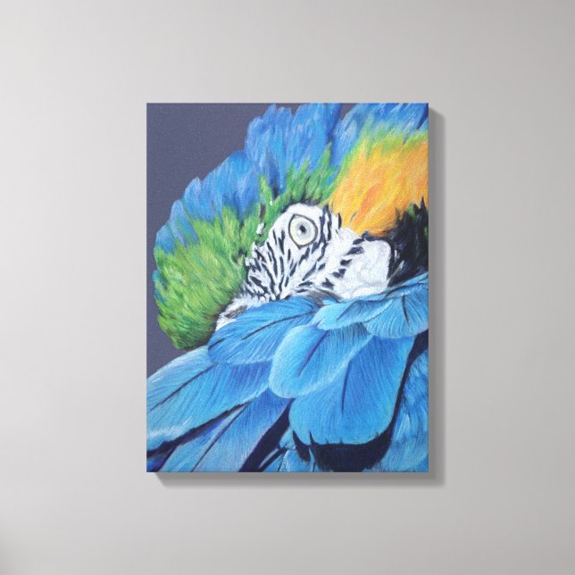 Blue and Gold Macaw Canvas Print (Front)
