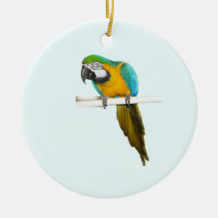 Blue and gold macaw ceramic tree decoration