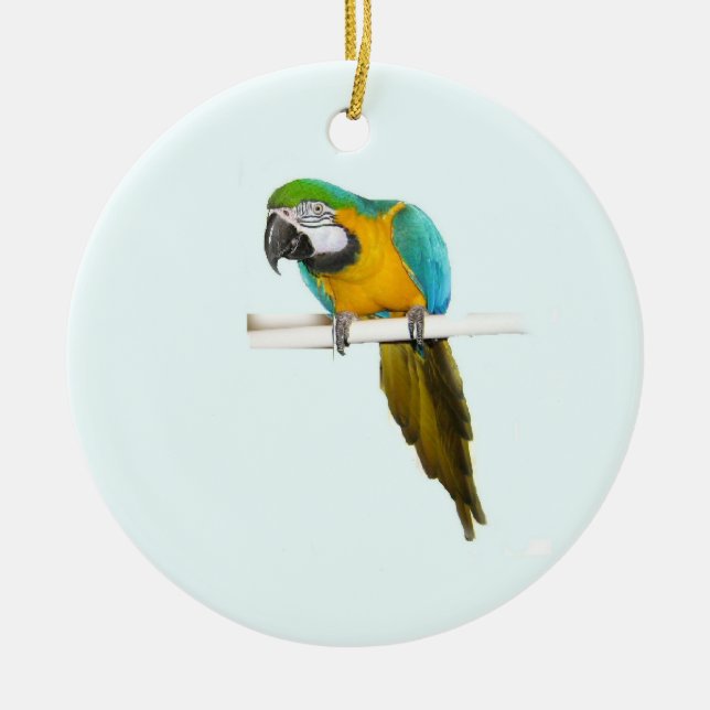Blue and gold macaw ceramic tree decoration (Front)