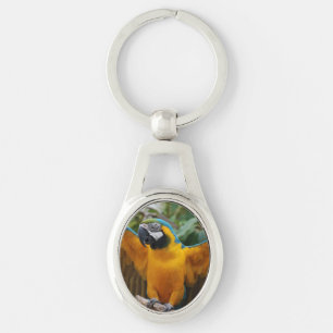 Blue and Gold Macaw Key Ring