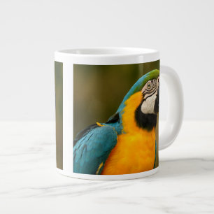 blue and gold macaw large coffee mug