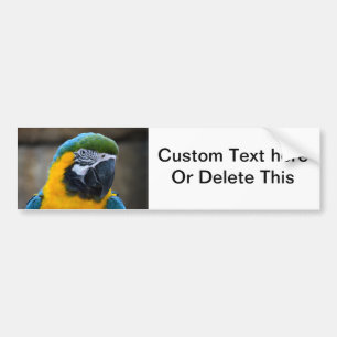 blue and gold macaw parrot head view c bumper sticker