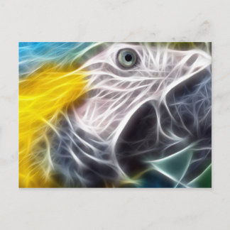Blue and Gold Macaw Postcard