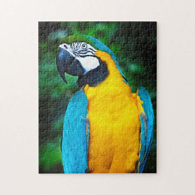Blue and Gold Macaw Puzzle (Vertical)