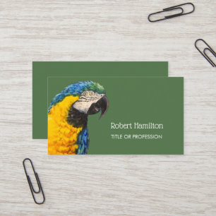 Blue and gold macaw watercolor painting business card