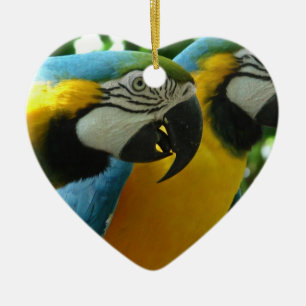 Blue and Gold Macaws Ornament