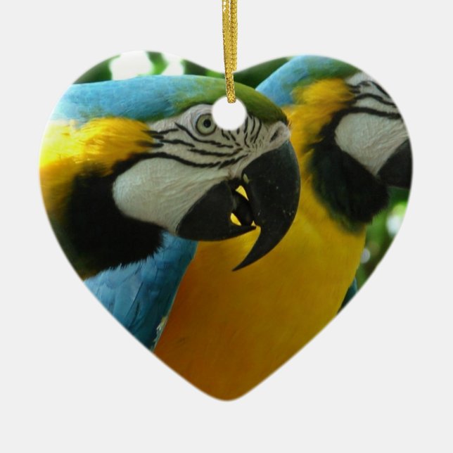 Blue and Gold Macaws Ornament (Front)