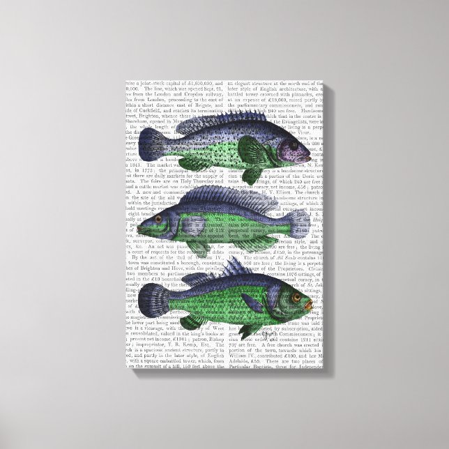 Blue and Green Fish Trio Canvas Print (Front)