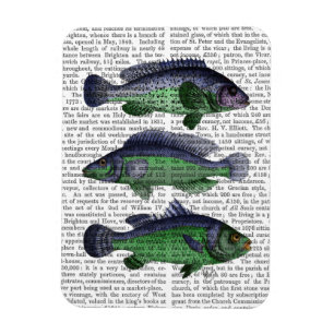 Blue and Green Fish Trio Magnet