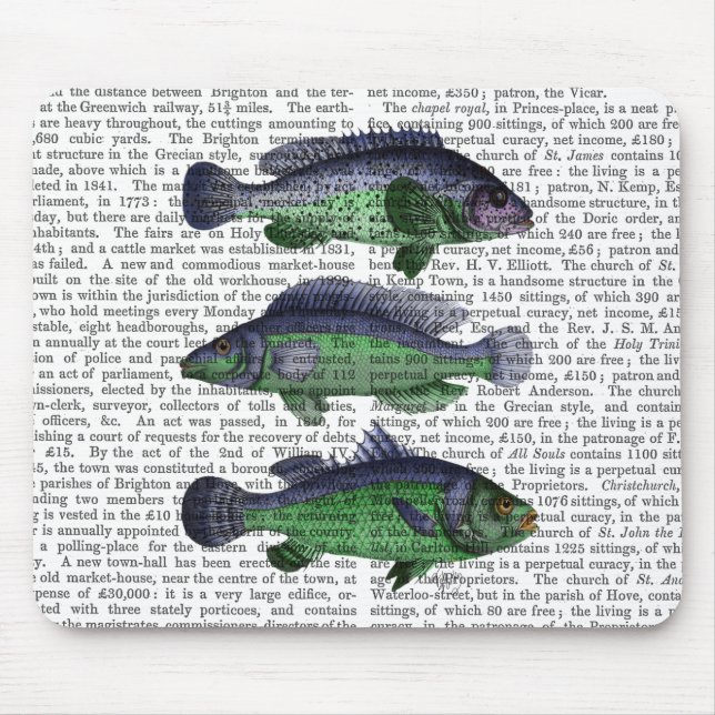 Blue and Green Fish Trio Mouse Mat (Front)