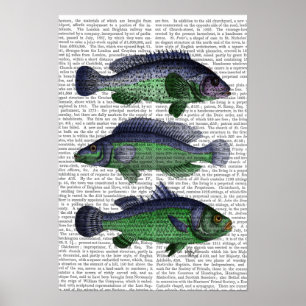 Blue and Green Fish Trio Poster