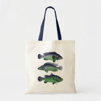 Blue and Green Fish Trio