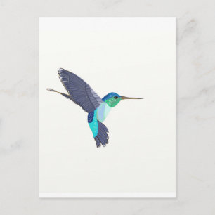Blue and Green Humming Bird Postcard