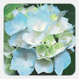 Blue and Green Hydrangea Floral Stickers / Seals