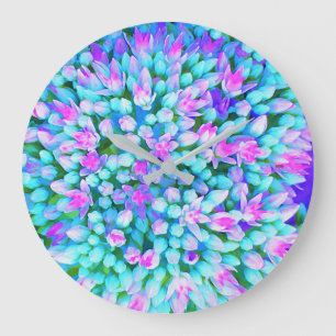 Blue and Hot Pink Succulent Sedum Flowers Detail Large Clock