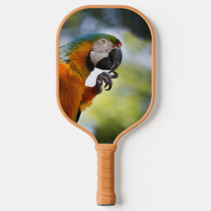 Blue and Orange Macaw Pickleball Paddle