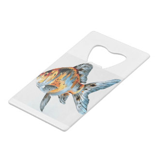 Blue and Orange Shubunkin Goldfish