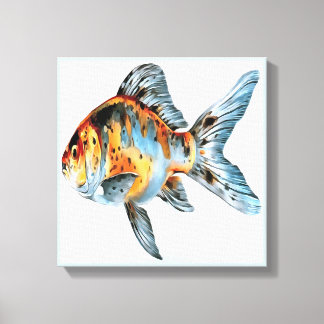 Blue and Orange Shubunkin Goldfish Canvas Print