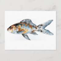 Blue and Orange Shubunkin Goldfish Fine Art