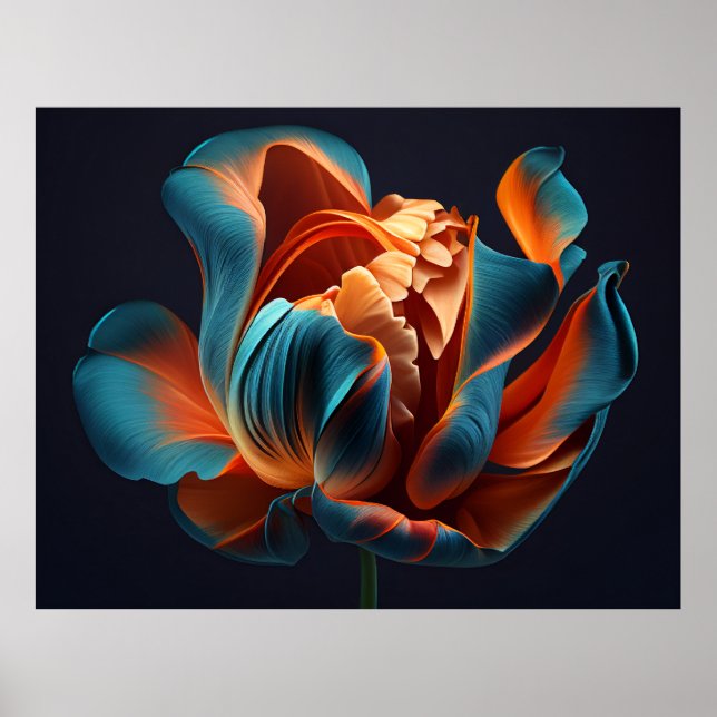 Blue and Orange Tulip on a Bold Black Background  Poster (Front)