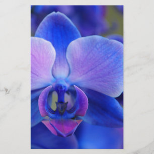 Blue and Pink Orchid Stationery