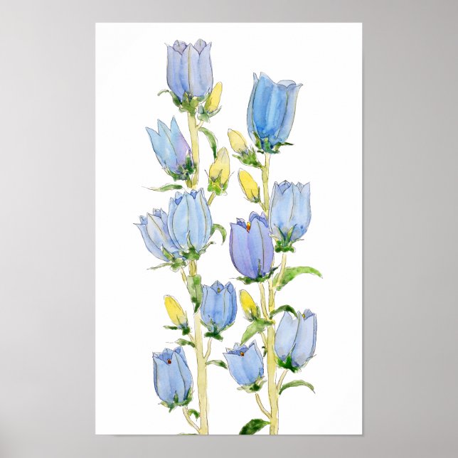 blue and purple Canterbury bells watercolour  Poster (Front)
