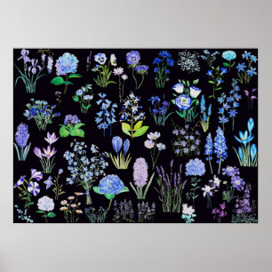 blue and purple flowers black background  poster