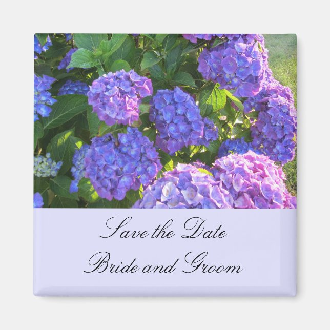 Blue and Purple Hydrangeas Magnet (Front)