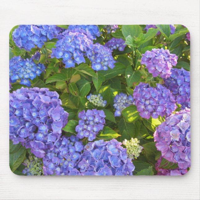 Blue and Purple Hydrangeas Mouse Mat (Front)