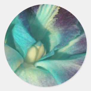 Blue and purple orchid close up classic round sticker