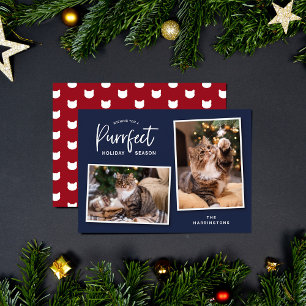 Blue and Red Cat Face Purrfect Holiday Photo
