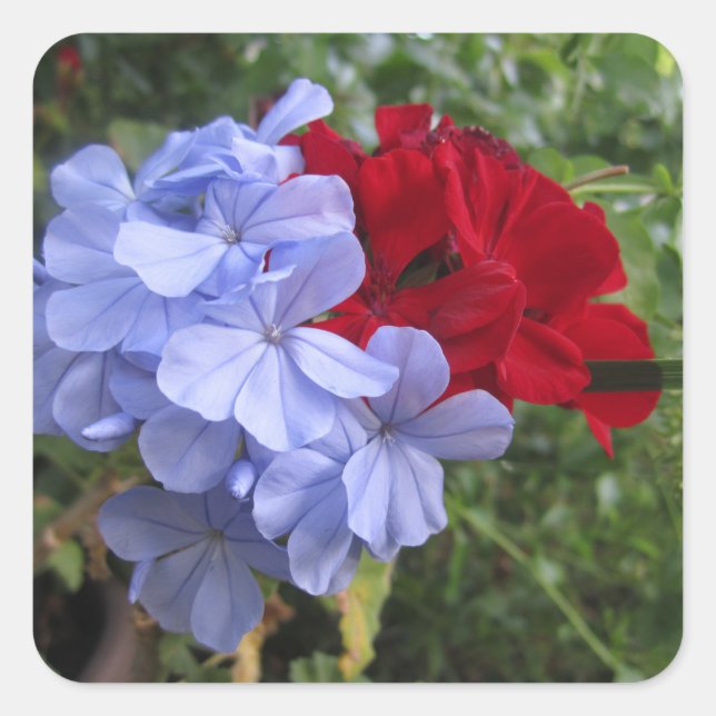 Blue and Red Flowers Invitation Stickers (Front)