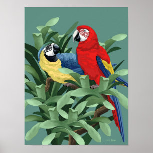 Blue and Red Macaw Posters and Art Prints