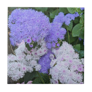 Blue and White Ageratum Flowers Floral Tile