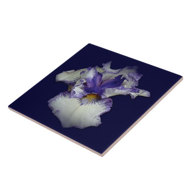 Blue and White Bearded Iris Flower Tile (Side)