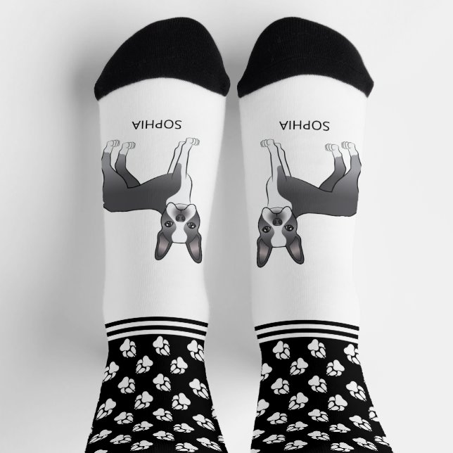 Blue And White Boston Terrier With Name And Paws Socks (Top)