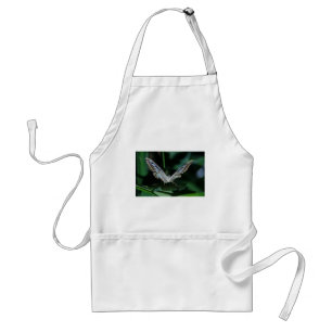 Blue and White Butterfly Close Up Standard Apron