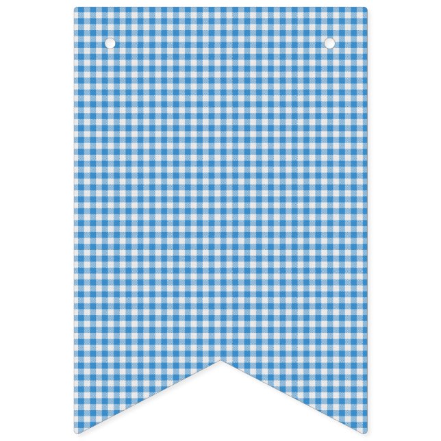 Blue and White Chequered Plaid. Bunting (First Flag)
