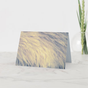 Blue and White Emu Feathers Card