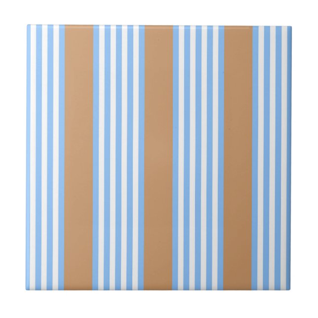 Blue and white five stripes pattern with tan stone tile (Front)