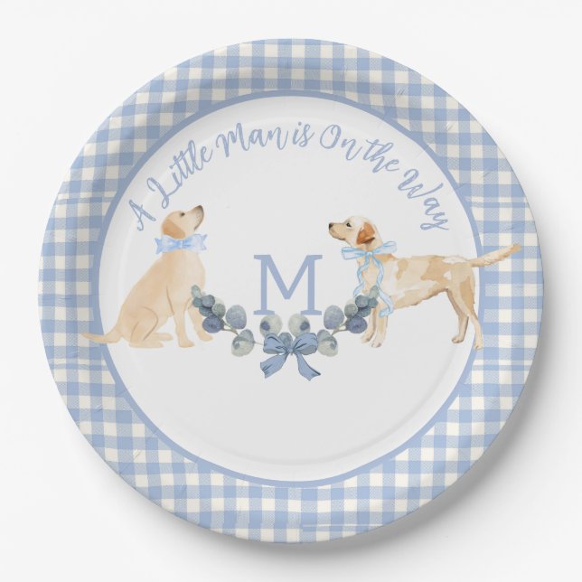 Blue and White Gingham Baby Shower Welcome Sign Paper Plate (Front)