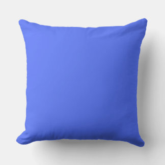 Blue and White Home Decoration Reversible Cushion